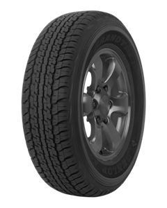 DUNLOP Grandtrek AT22