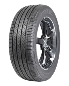 GOODYEAR Eagle LS-2