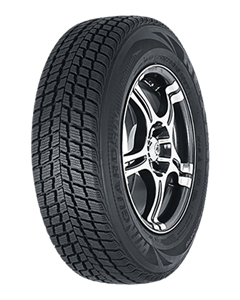 NEXEN Winguard SUV