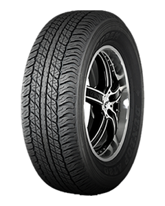 DUNLOP Grandtrek AT20