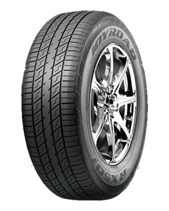 JOYROAD Milemax RX501